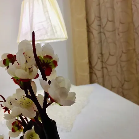 I Mori Bed & Breakfast